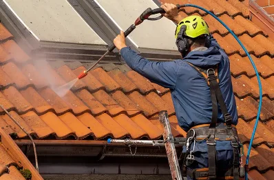 Démoussage et hydrofuge de toiture à Cronat